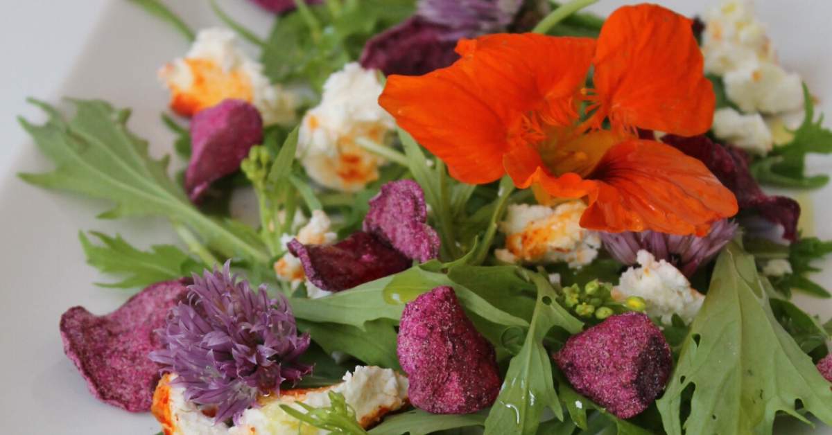 Aszalt cékla Aszalt cékla